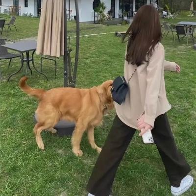 家有公婆
